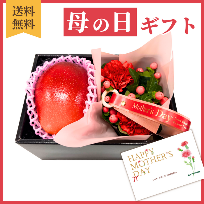 〈母の日ギフト〉
【タンゴ】完熟マンゴーと花のギフト