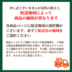 とうもろこし 4色セット6本セット
（ドルチェドリーム・ゴールドラッシュ・ホイップコーン・大和ルージュ）
北海道剣淵町産【産地直送】
