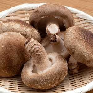 栃木県産他　しおのやの菌床生椎茸約1kg【入荷次第の発送】