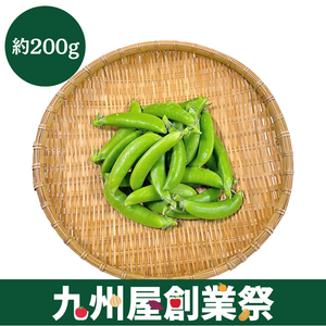 ＜九州屋創業祭＞鹿児島県産他　スナップエンドウ　約200g