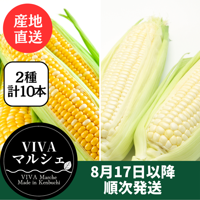 とうもろこし 2色10本セット
（ドルチェドリーム・ホイップコーン　各5本）
北海道剣淵町産【産地直送】
