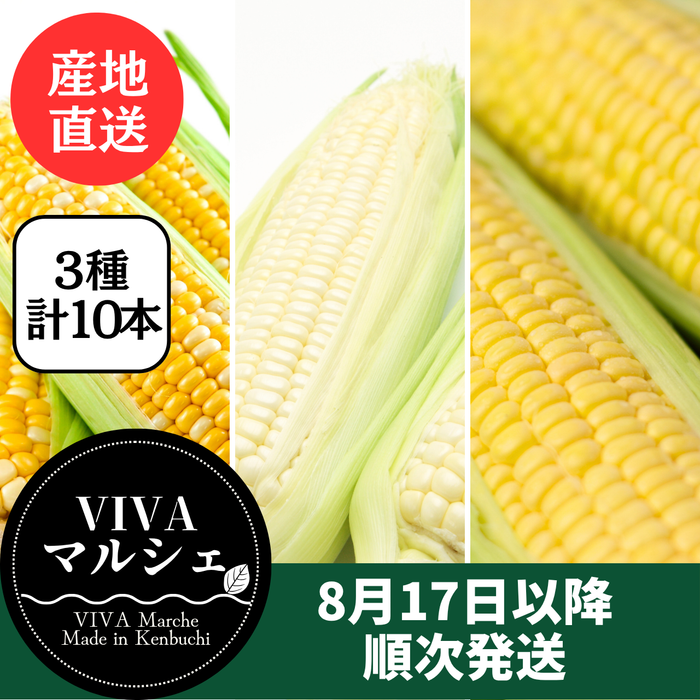 とうもろこし 3色10本セット
（ドルチェドリーム・ホイップコーン・ゴールドラッシュ）
北海道剣淵町産【産地直送】