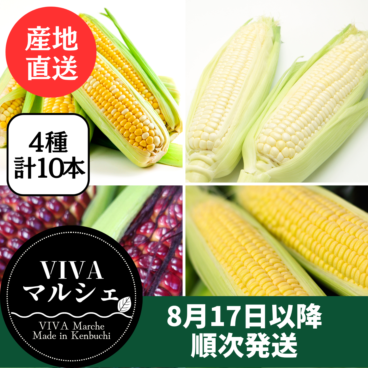 食べ比べセット20本 ゴールドラッシュ10本 ドルチェドリーム10本 とうもろこし 4色セット10本セット （ドルチェドリーム
