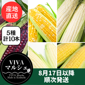 とうもろこし 5色10本セット
（ドルチェドリーム・ゴールドラッシュ・ホイップコーン・ロイシーコーン・大和ルージュ　各2本）北海道剣淵町産【産地直送】