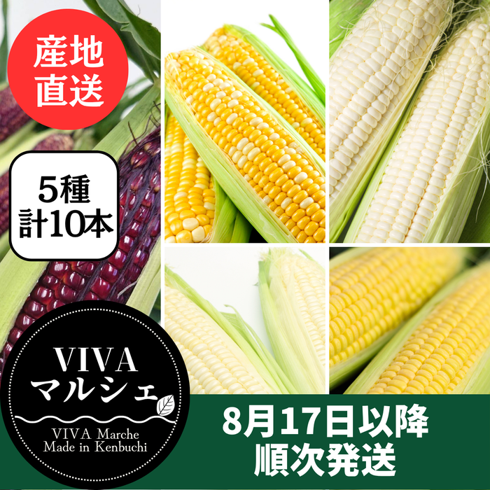 とうもろこし 5色10本セット
（ドルチェドリーム・ゴールドラッシュ・ホイップコーン・ロイシーコーン・大和ルージュ　各2本）北海道剣淵町産【産地直送】