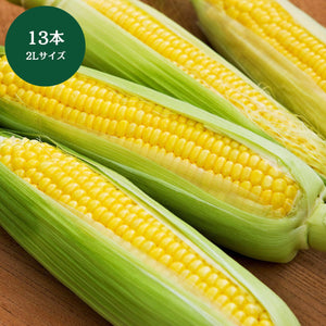 宮崎県産 
ゴールドラッシュ 
2Lサイズ
13本
