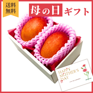 〈母の日ギフト〉
【2Lサイズ】宮崎県産完熟マンゴーのギフト（2玉詰め）