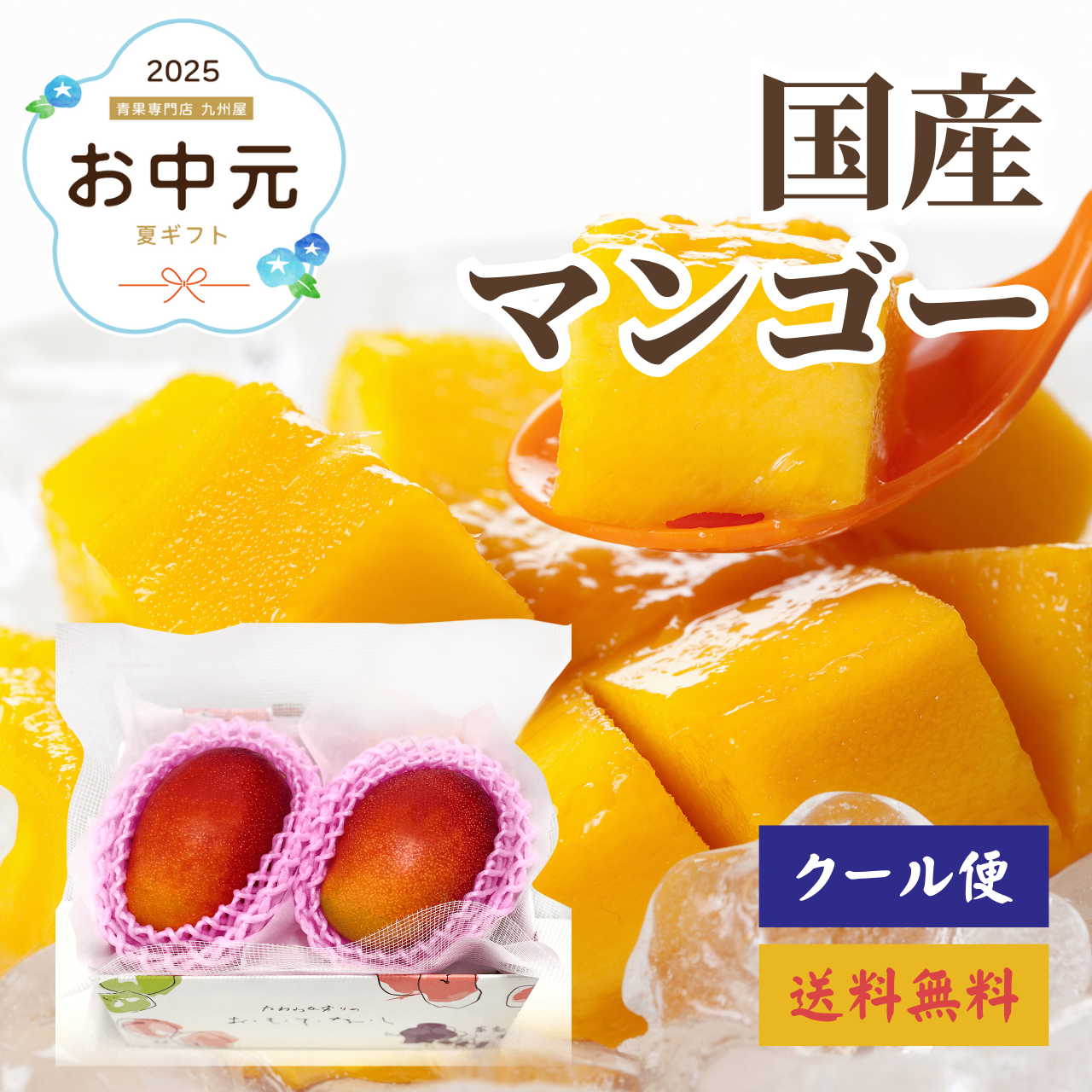 マンゴー特集 – 九州屋plus+