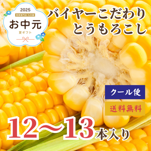 バイヤーこだわり 
とうもろこし 
2L～3Lサイズ
12～13本〈お中元〉