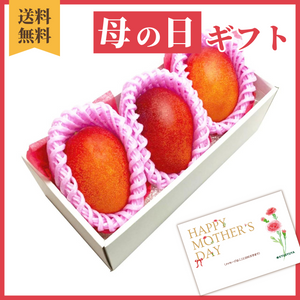 〈母の日ギフト〉
【2Lサイズ】宮崎県産完熟マンゴーのギフト（3玉詰め）