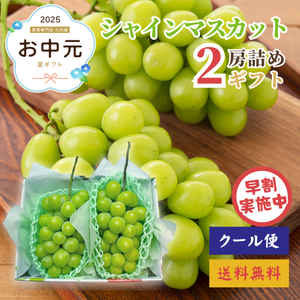 【早割】シャインマスカット2房詰め山梨県産他〈お中元〉