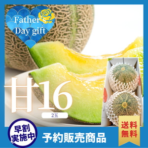 【早割】千葉県産 アムスメロン「甘16」2玉詰め〈父の日ギフト〉