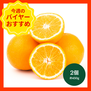 【4/19からおすすめ商品】大玉ネーブルオレンジ　2個(約450)　アメリカ産