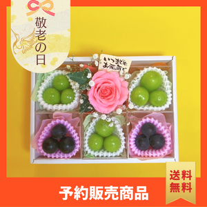 〈ギフト〉【扇】2種ぶどうと花のギフト〈敬老の日〉