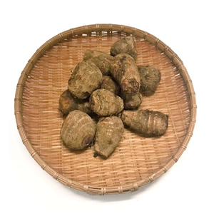 【8/23からおすすめ商品】里芋　L～2Lサイズ　約500g　千葉県産他
