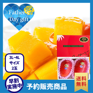 【早割】宮崎県産「太陽のタマゴ」2玉詰め【3L～4Lサイズ】〈父の日ギフト〉