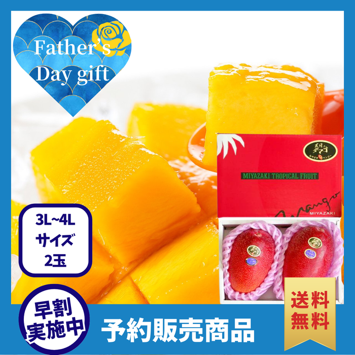 【早割】宮崎県産「太陽のタマゴ」2玉詰め【3L～4Lサイズ】〈父の日ギフト〉