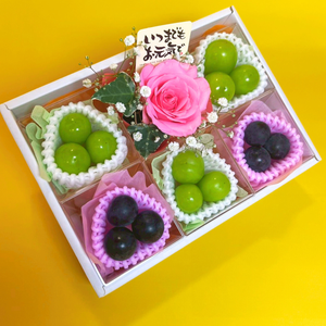 〈ギフト〉【扇】2種ぶどうと花のギフト〈敬老の日〉
