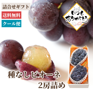 〈ギフト〉
岡山県産「種なしピオーネ」2房詰め【敬老の日】