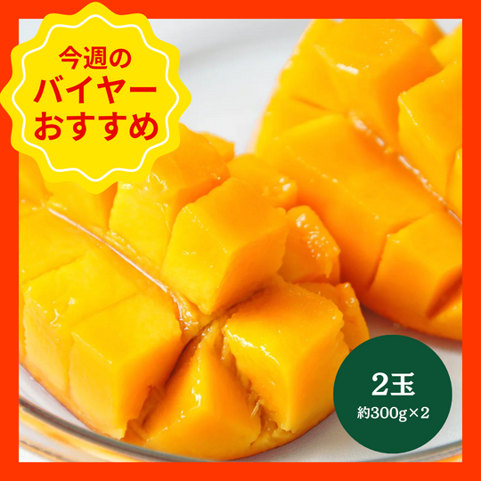 【7/12からおすすめ商品】国産マンゴー　2玉(約300g×2)　沖縄県産