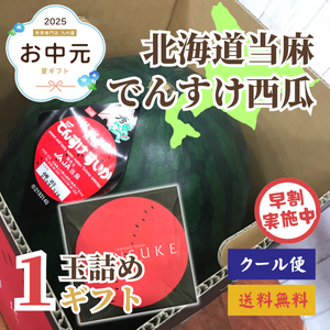 【早割】でんすけ西瓜1玉北海道当麻産〈お中元〉