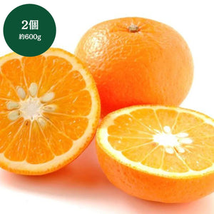 鹿児島県産他 
紅甘夏 
2個 約600g