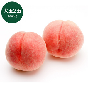 福島県産他 
旬の桃
大玉2個（約600g）
