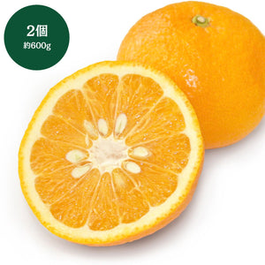 熊本県産他 
甘夏 
2個 約600g