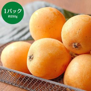 長崎県産他 
びわ 
1パック（5～6粒） 約250g