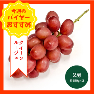 【9/6からおすすめ商品】クイーンルージュ　2房(約450g×2)　長野県産
