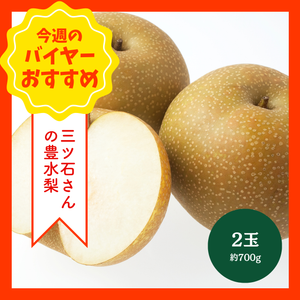 【9/13からおすすめ商品】三ツ石さんの豊水梨　2玉(約700g)　長野県産