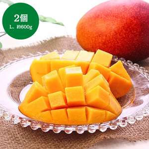 宮崎県産 
完熟マンゴ― 
2個（Lサイズ、約300g×2）
