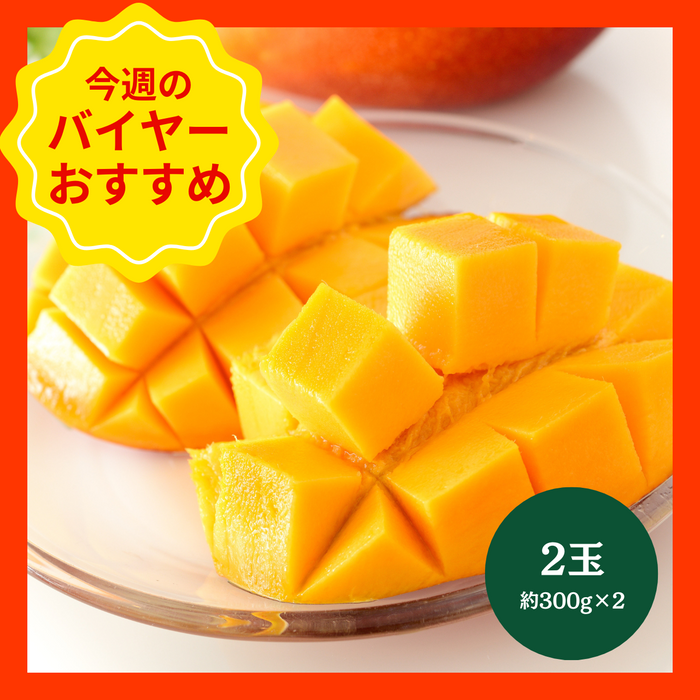 【7/12からおすすめ商品】完熟マンゴー　2玉(約300g×2)　宮崎県産