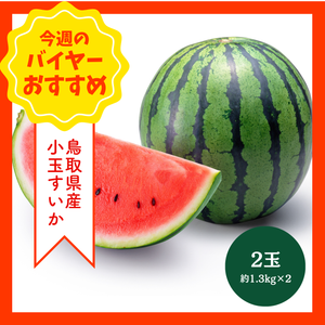 【9/6からおすすめ商品】小玉西瓜　2玉(約1.3kg×2)　鳥取県産
