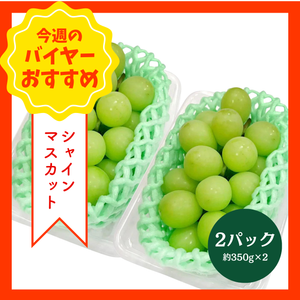 【8/23からおすすめ商品】シャインマスカット　2パック(約350g×2)　山梨県産他