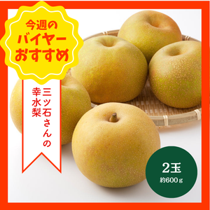 【8/30からおすすめ商品】三ツ石さんの特別栽培　幸水梨　2玉(約600g)　長野県産