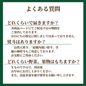 〈ギフト〉岡山県産シャインマスカット「晴王」1房詰め【敬老の日】