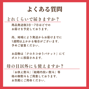 〈母の日ギフト〉和紅茶（いちご）のギフト【紅茶】ポストにお届け