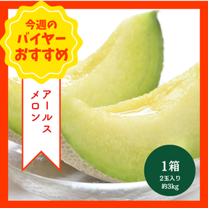 【8/2からおすすめ商品】アールスメロン　1箱(2玉入り約3kg)　山形県産他