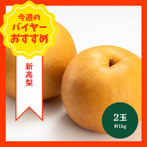 【9/13からおすすめ商品】新高梨　2玉(約1kg)　千葉県産他