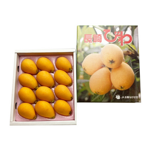 〈ギフト〉
長崎県産 びわ 1箱 12粒（Lサイズ）