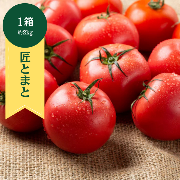 愛知県産　匠とまと　約2kg