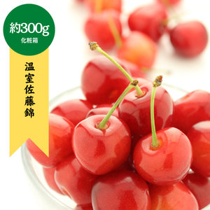 〈ギフト〉
山形県産 温室佐藤錦 約300g 化粧箱