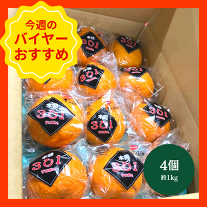 【3/22からおすすめ商品】木熟デコポン301　4個1箱（約1kg）　和歌山県産
