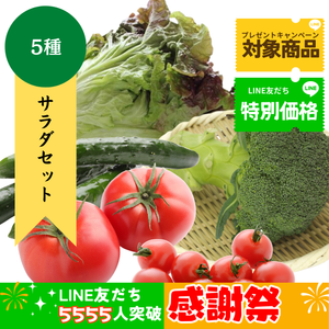 【LINE友だち限定】サラダ野菜セット〈LINE感謝祭〉
