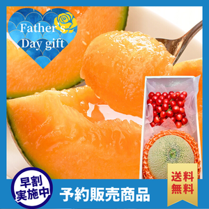 【早割】レッドメロン＆山形県産他佐藤錦〈父の日ギフト〉