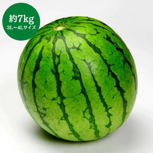 熊本県産他 
大玉すいか
3L～4Lサイズ
1玉（約7kg）