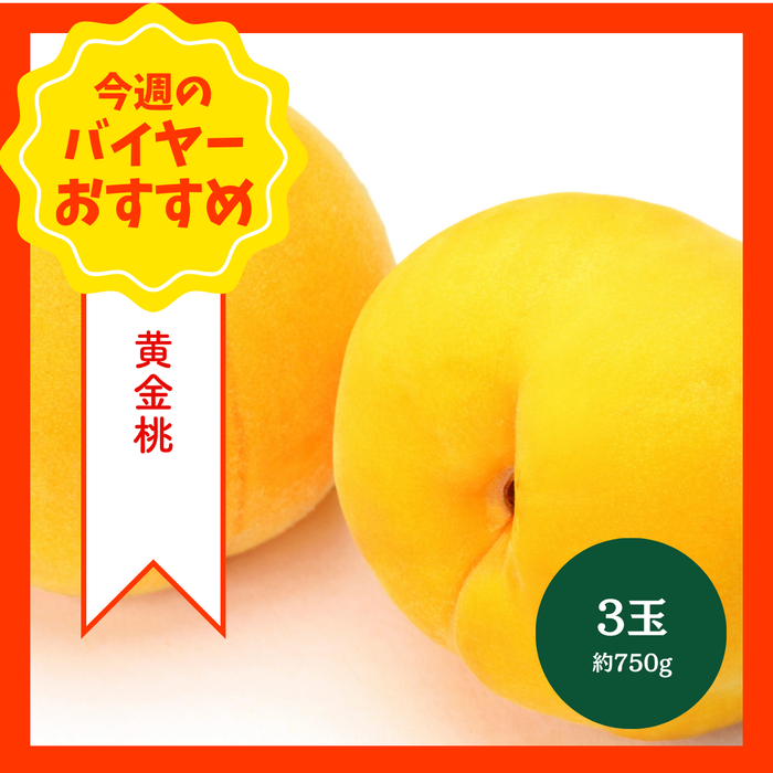 【8/23からおすすめ商品】黄金桃　3玉(約750g)　福島県産他