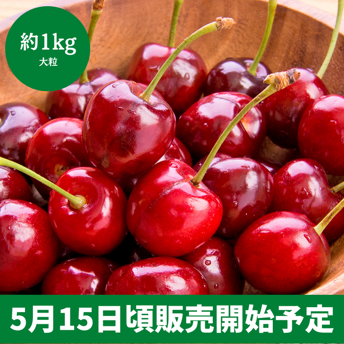 ◆5月15日頃販売開始予定◆
アメリカ産 
アメリカンチェリー（大粒） 
約1kg