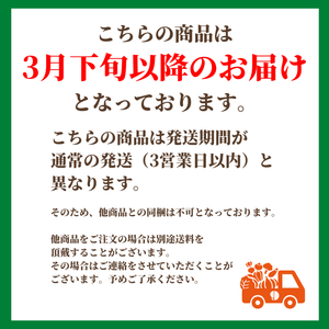 〈ギフト〉
宮崎県産完熟マンゴー（Lサイズ）
2個入